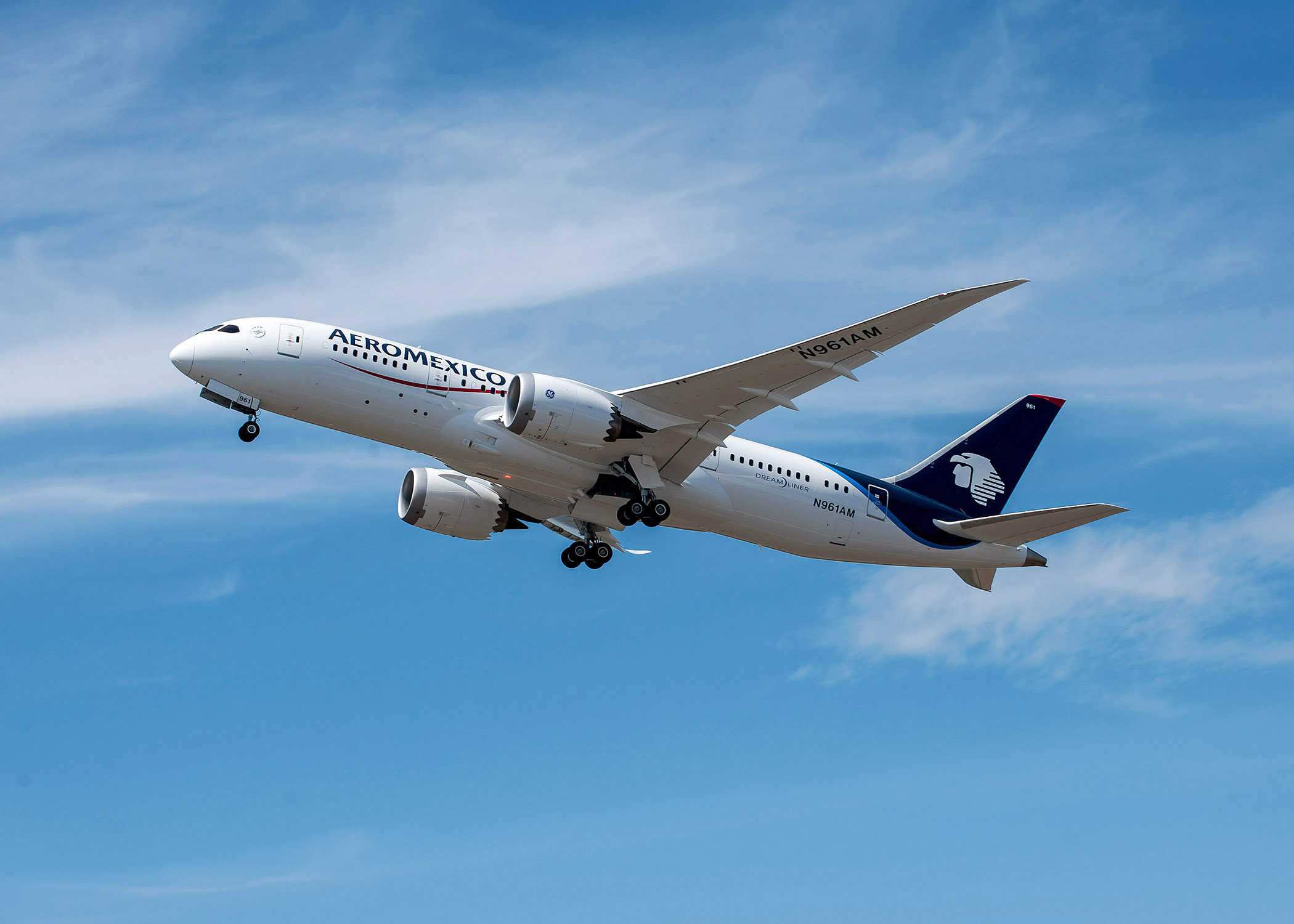 Boeing 787 Dreamliner (7)
