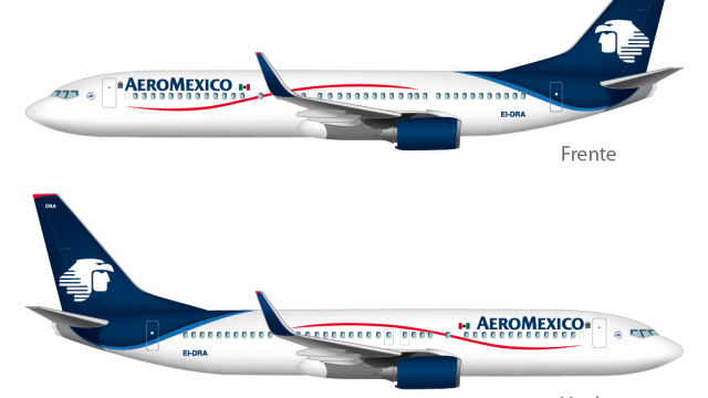 Aunque el 737 que será utilizado para las misiones papales, no tendrá "nombre", contará también con el escudo del Vaticano.