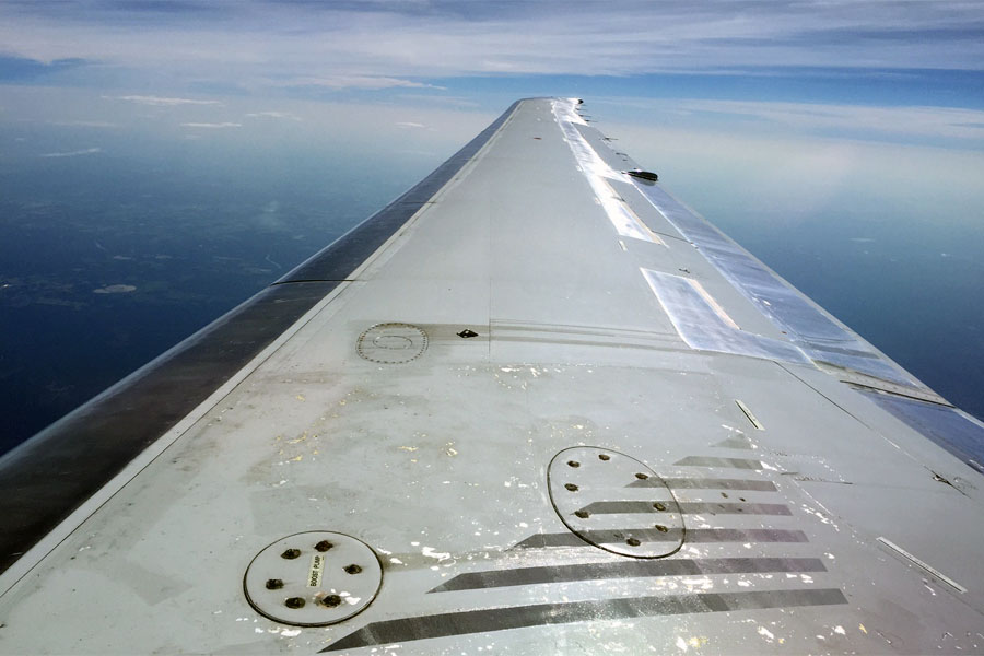 Volando sobre Louisiana en un momento solitario, mostrando las cicatrices en su ala después de años de arduo trabajo. (Créditos: Chris Sloan)