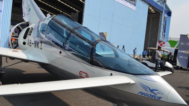 Pegasus_1