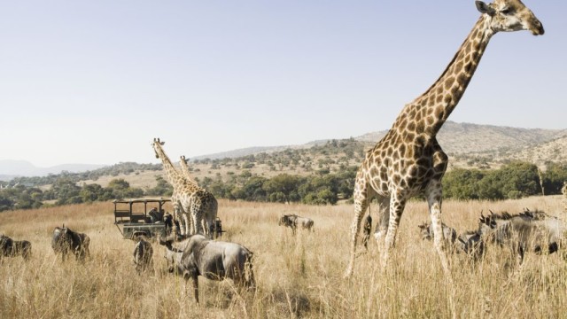 sudafrica-iii