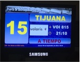 tijuana-marco-cbx-1