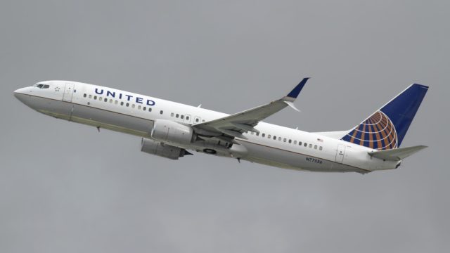 Alacrán pica a pasajera en vuelo de United Airlines