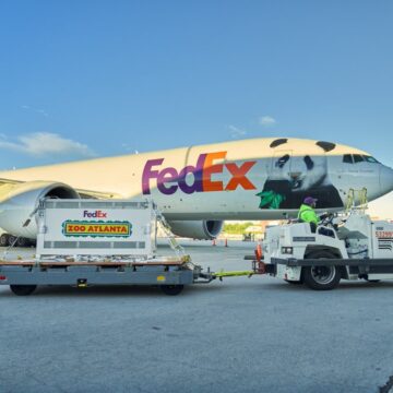 FedEx transporta a dos pandas gigantes de China a Atlanta a bordo de un Boeing 777F