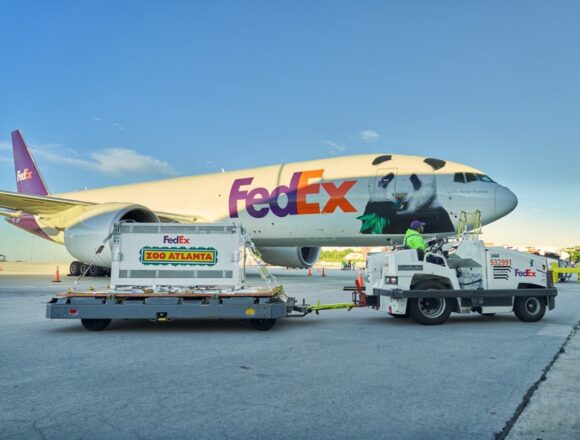 FedEx transporta a dos pandas gigantes de China a Atlanta a bordo de un Boeing 777F