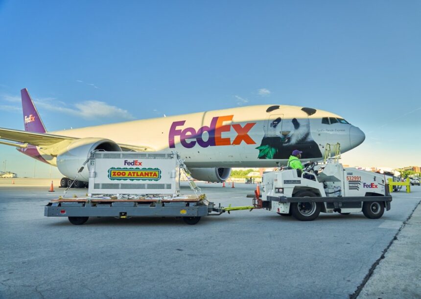FedEx transporta a dos pandas gigantes de China a Atlanta a bordo de un Boeing 777F