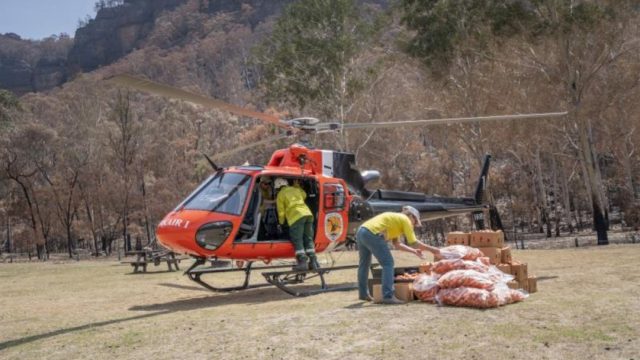 Australia reparte comida vía aérea a la fauna afectada por incendios