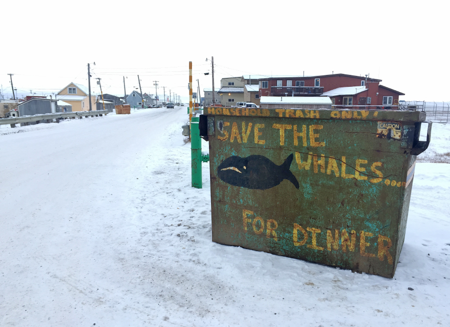 Grafiti ártico. Mucha gente en Barrow aun vive de la cacería de ballenas, las cuales consumen para subsistir. 