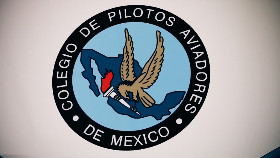 Colegio de Pilotos expresa preocupación por uso de tripulación extranjera en vuelos nacionales