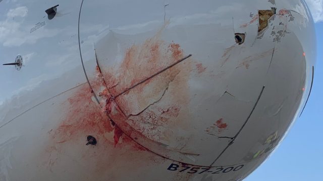 Boeing 757 donde viajaban los Utha Jazz sufrió daños importantes luego de un impacto por ave