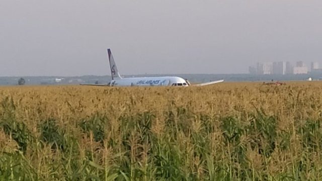 A321 de Ural Airlines aterriza de emergencia en campo de cultivo