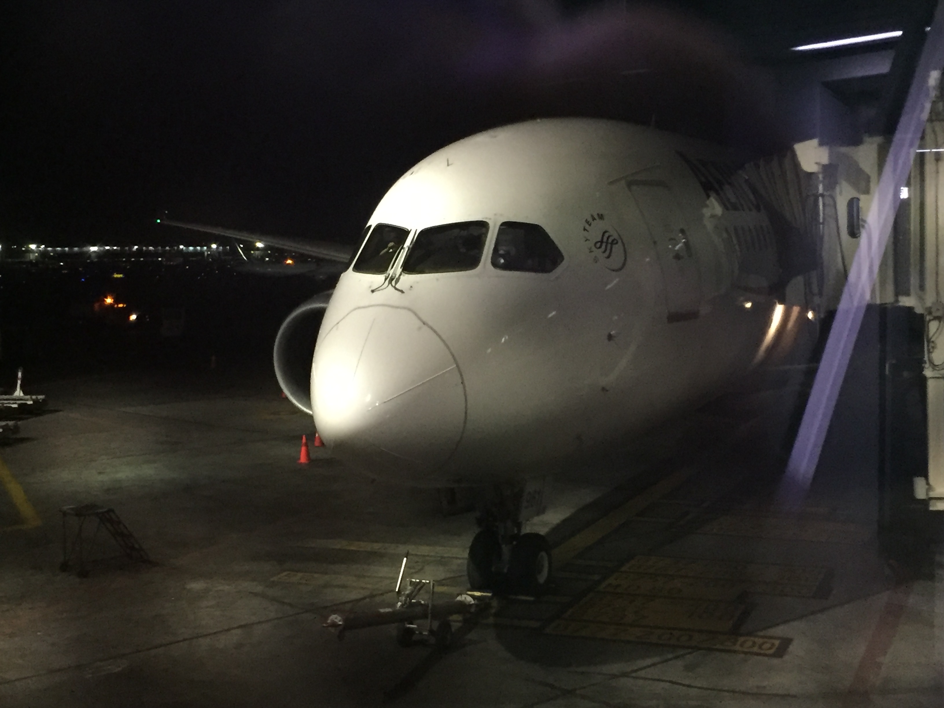 Para este viaje, nos llevaría el N961AM, el primer 787 Dreamliner entregado a Aeromexico. 