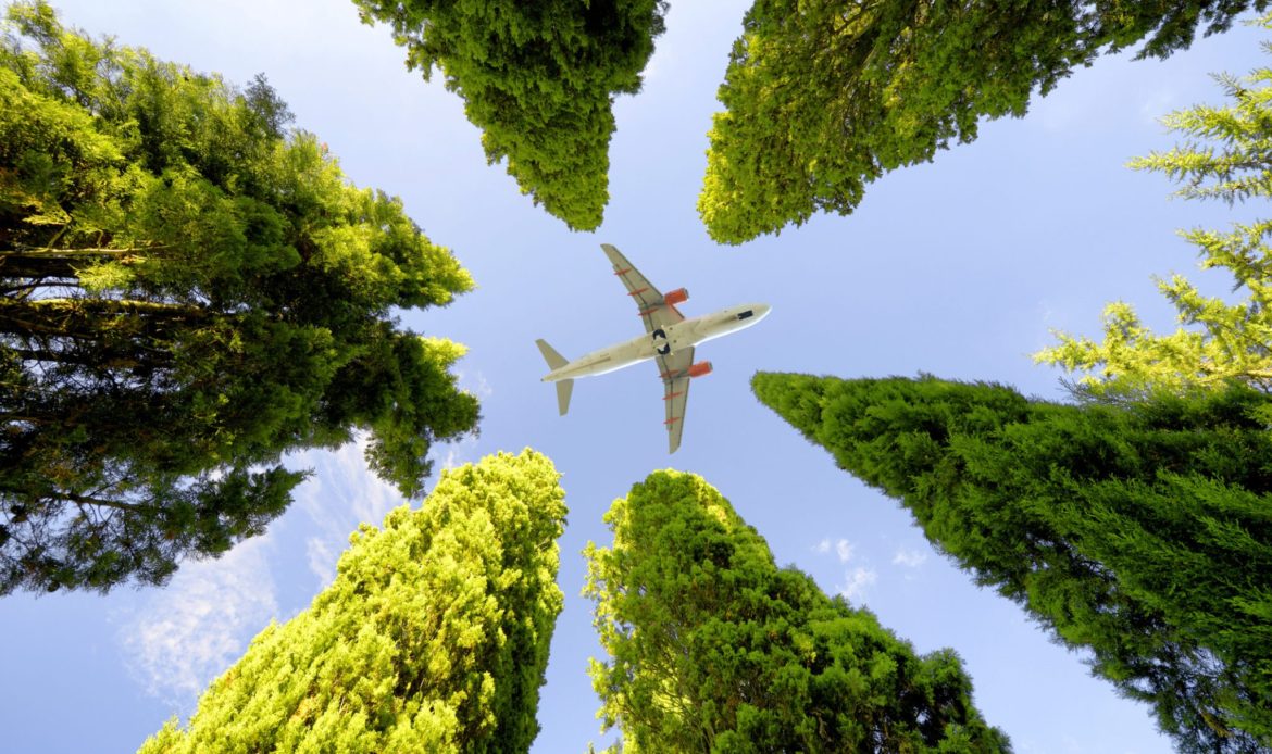 Presenta IATA curso de sostenibilidad en la aviación