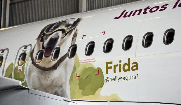 ‘Frida’ plasmada en un avión de Volaris