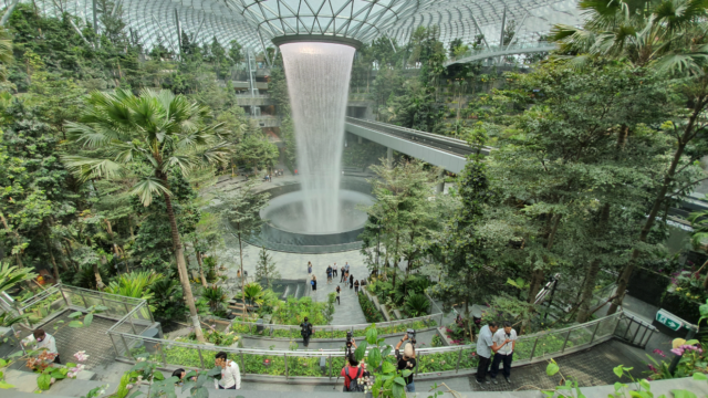 Temática de Avatar en el aeropuerto Changi de Singapur