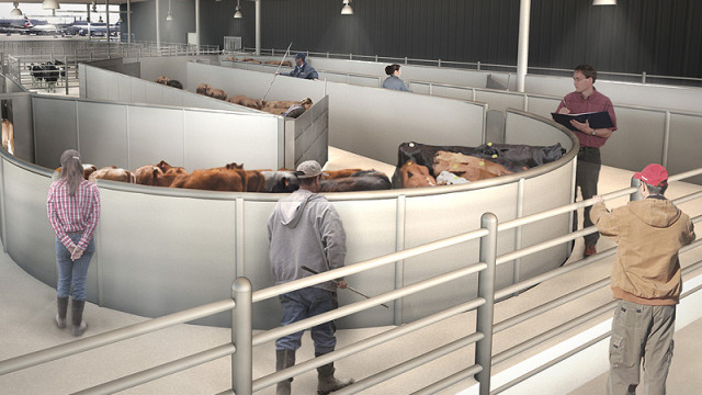 Construirán en Nueva York JFK la primera terminal exclusiva para animales